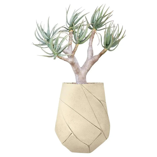 New Bhaca Medium Sandstone Planter by Indigenus Designer Pot  concrete 70kgs